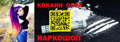 гашик Дубна