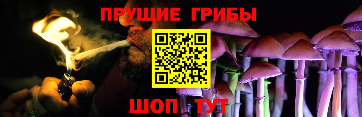 Ликино-Дулёво  Псилоцибиновые грибы Cubensis  Вход с VPN  Псилоцибиновые грибы Psilocybe 